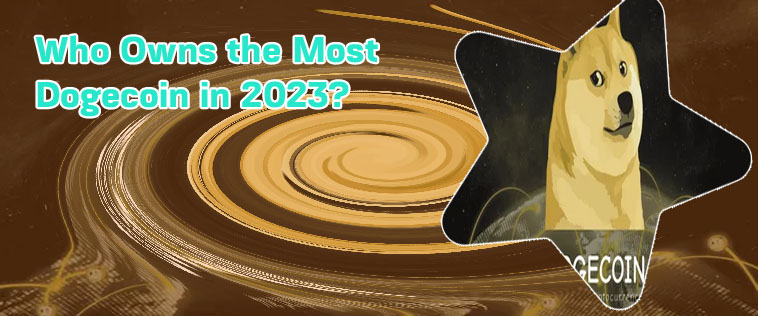 Biggest dogecoin wallet