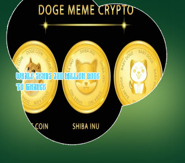 Binance buy dogecoin