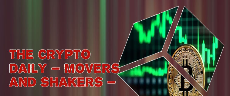 Crypto november