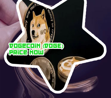 Doge crypto price