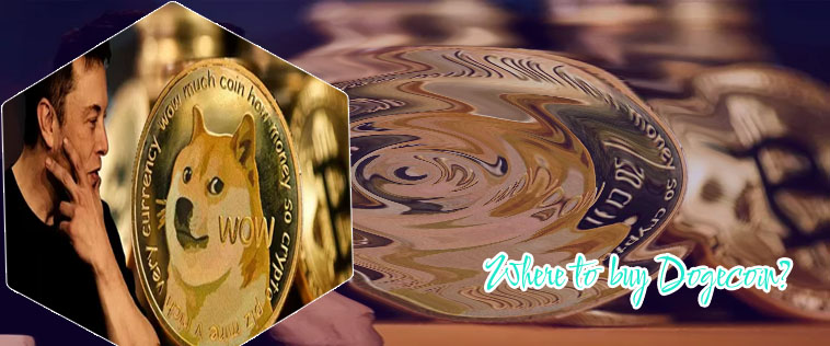 Dogecoin return