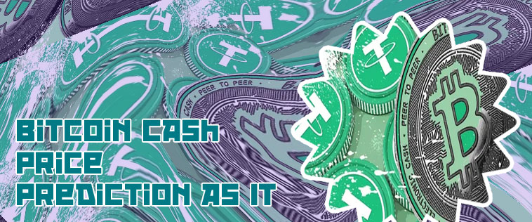 Future of bitcoin cash