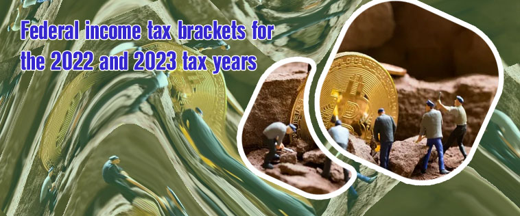 What is a crypto miner