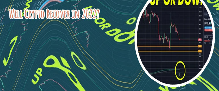 Will bitcoin price go up